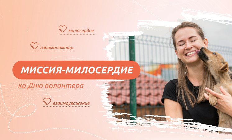 «Миссия-милосердие (ко Дню волонтера)».